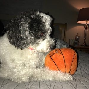 Meet your Posher, Kim